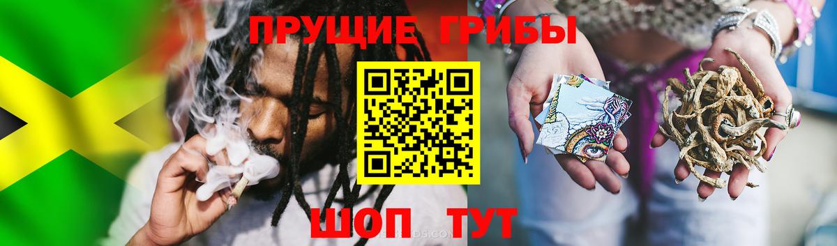 Псилоцибиновые грибы Magic Shrooms  Вход с VPN  Гулькевичи 